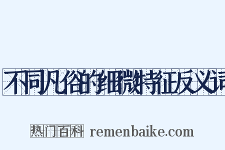 不同凡俗的细微特征反义词是什么意思的图片